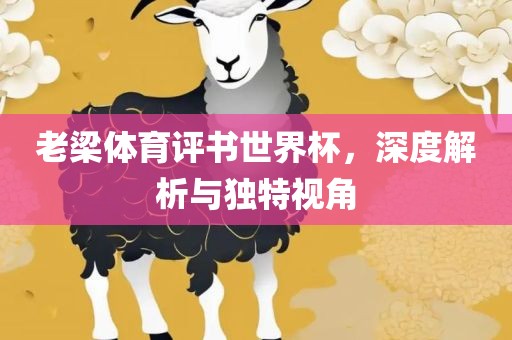 老梁体育评书世界杯，深度解析与独特视角