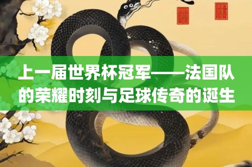 上一届世界杯冠军——法国队的荣耀时刻与足球传奇的诞生吉安市靖泰电力工程有限公司