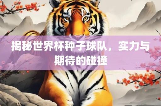 揭秘世界杯种子球队，实力与期待的碰撞