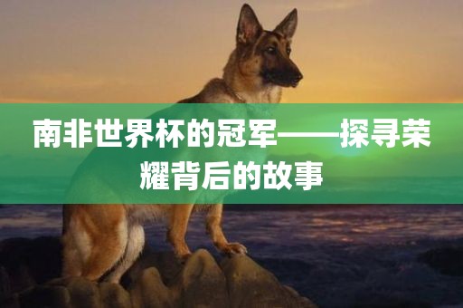 南非世界杯的冠军——探寻荣耀背后的故事