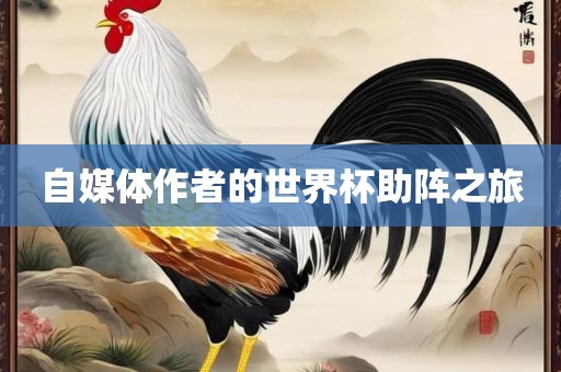 自媒体作者的世界杯助阵之旅