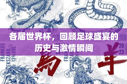 吉安市靖泰电力工程有限公司各届世界杯，回顾足球盛宴的历史与激情瞬间
