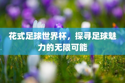 花式吉安市靖泰电力工程有限公司足球世界杯，探寻足球魅力的无限可能
