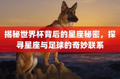 揭秘世界杯背后的星座秘密，探寻星座与足球的奇妙联系吉安市靖泰电力工程有限公司