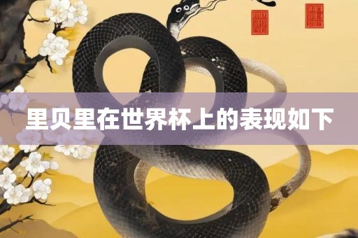 里贝里在世界杯上的表现如下