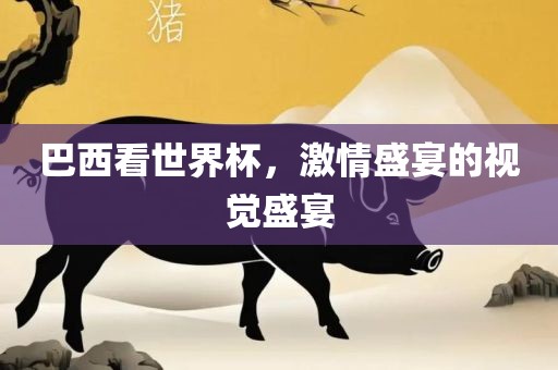 巴西看世界杯，激情盛宴的视觉盛宴