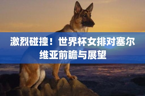 激烈碰撞！世界杯女排对塞尔维亚前瞻与展望吉安市靖泰电力工程有限公司