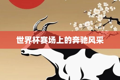 世界杯赛场上的奔驰风采吉安市靖泰电力工程有限公司