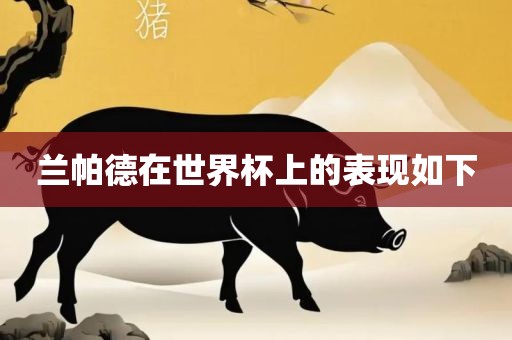兰帕德在世界杯上的表现如下