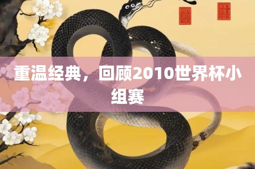 重温经典，回顾2010世界杯小组赛