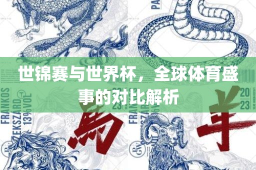 世锦赛与世界杯，全球体育盛事的对比解析