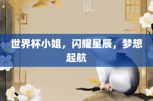 世界杯小姐，闪耀星辰，梦想起航