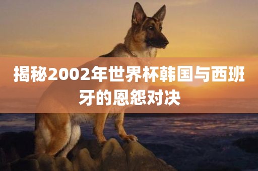 揭秘2002年世界杯韩国与西班牙的恩怨对决吉安市靖泰电力工程有限公司