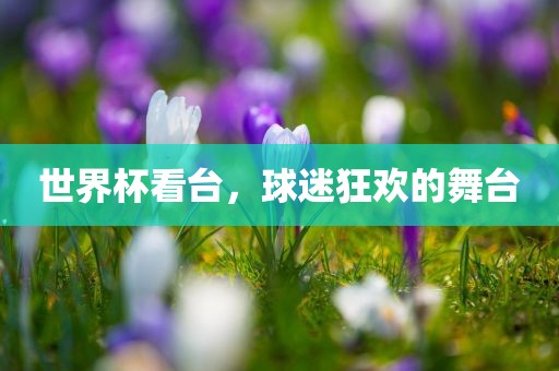 世界杯看台，球迷狂欢的舞台
