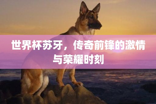 世界杯苏牙，传奇前锋的激情与荣耀时刻吉安市靖泰电力工程有限公司