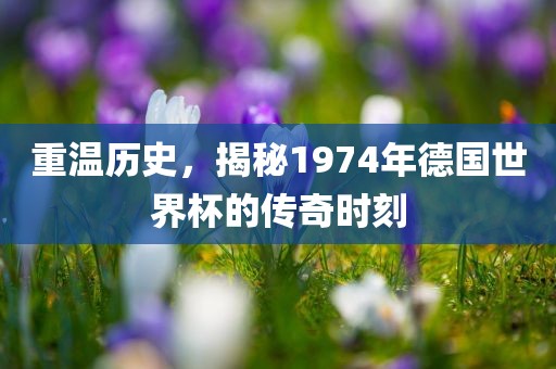 重温历史，揭秘1974年德国世界杯的传奇时刻吉安市靖泰电力工程有限公司