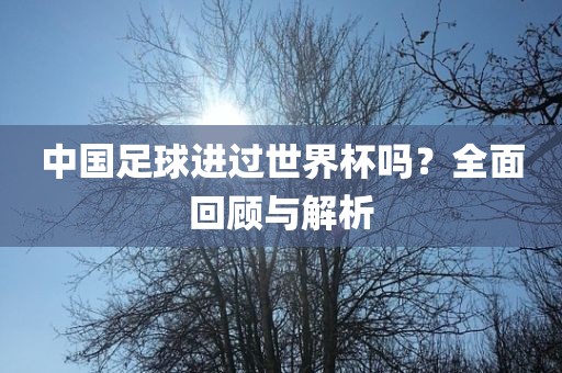 中国足球进过世界杯吗？全面回顾与解析吉安市靖泰电力工程有限公司