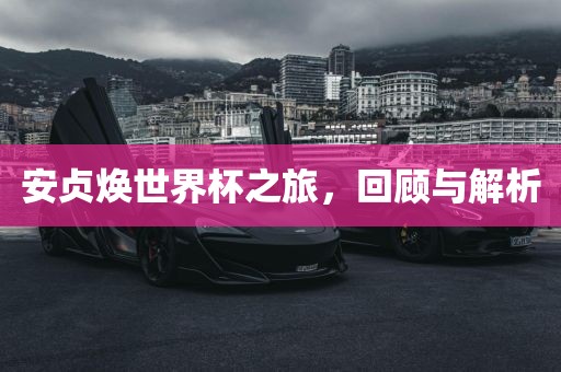 安贞焕世界杯之旅，回顾与解析吉安市靖泰电力工程有限公司