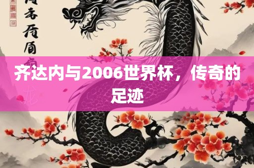 齐达内与2006世界杯，吉安市靖泰电力工程有限公司传奇的足迹