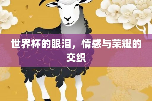 世界杯的眼泪，情感与荣耀的交织吉安市靖泰电力工程有限公司
