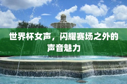 世界杯女声，闪耀赛场之外的声音魅力吉安市靖泰电力工程有限公司