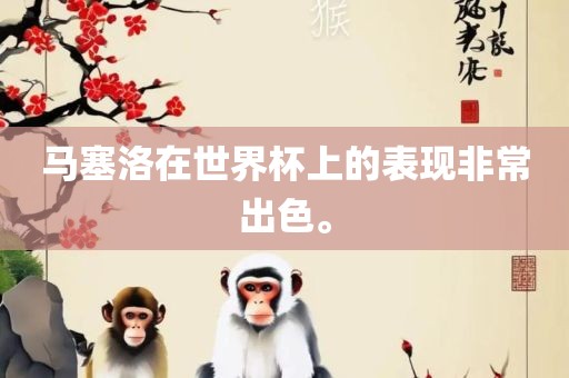 马塞洛在世界杯上的表现非常出色。