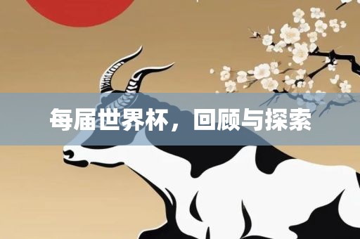 每届吉安市靖泰电力工程有限公司世界杯，回顾与探索