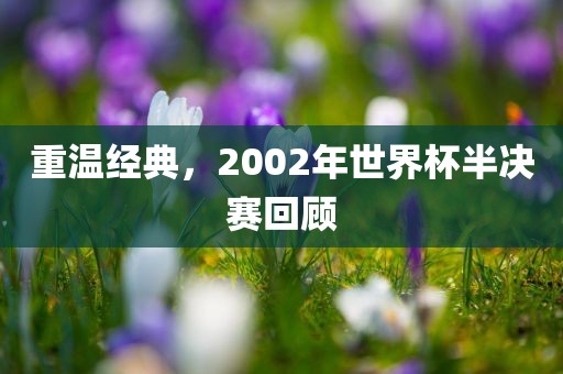重温经典，2002年世界杯半决赛回顾