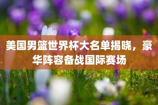 美国男篮世界杯大名单揭晓，豪华阵容备战国际赛场吉安市靖泰电力工程有限公司