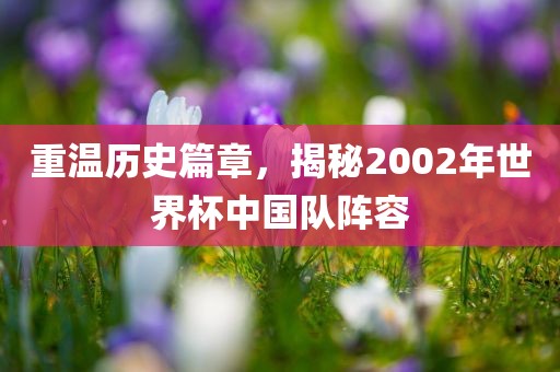 重温历史篇章，揭秘2002年世界杯中国队阵容吉安市靖泰电力工程有限公司