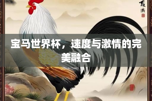 宝马世界杯，速度与激情的完美融合