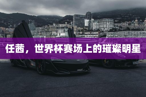 任茜，世界杯赛场上的吉安市靖泰电力工程有限公司璀璨明星
