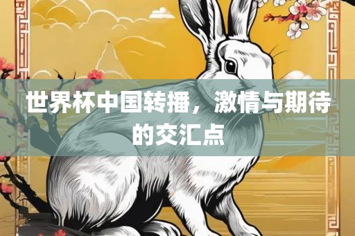 世界杯中国转播，激情与期待的交汇点