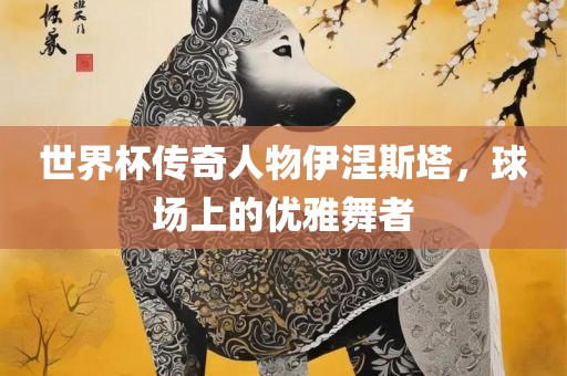 世界杯传奇人物伊涅斯塔，球场上的优雅舞者