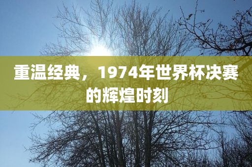 重温经典，1974年世界吉安市靖泰电力工程有限公司杯决赛的辉煌时刻