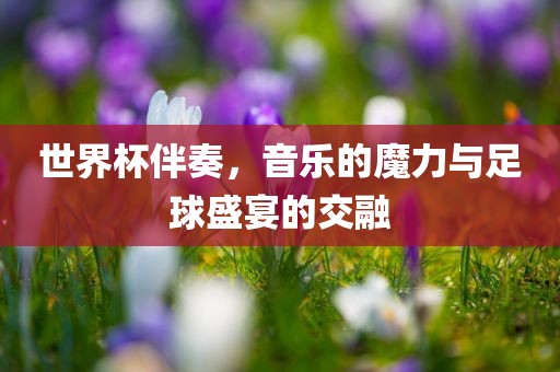 世界杯伴奏，音乐的魔力与足球盛宴的交融吉安市靖泰电力工程有限公司