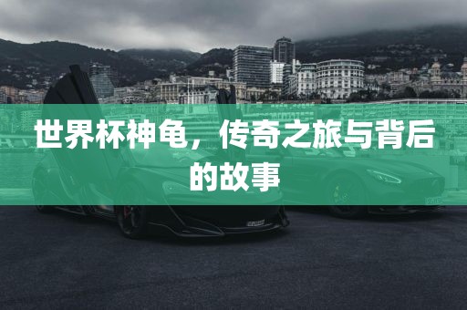 世界杯神龟，传奇之旅与背后的故事吉安市靖泰电力工程有限公司