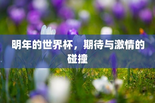 明年的世界杯，期待与激情的碰撞吉安市靖泰电力工程有限公司