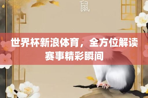 世界杯新浪体育，全方位解读赛事精彩瞬间吉安市靖泰电力工程有限公司