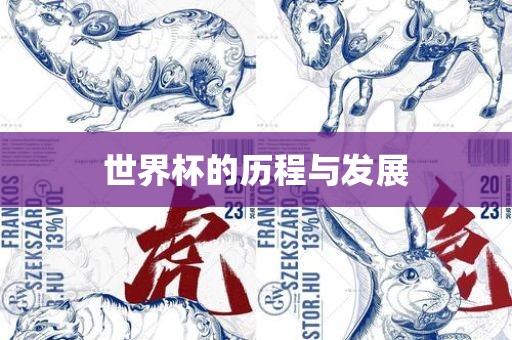 世界杯的历程与发展吉安市靖泰电力工程有限公司