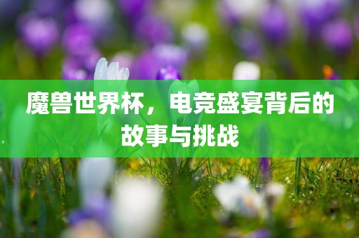 魔兽世界杯，电竞盛宴背后的故事与挑战