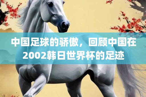 中国吉安市靖泰电力工程有限公司足球的骄傲，回顾中国在2002韩日世界杯的足迹