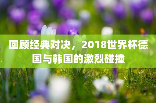 回顾经典对决，2018世界杯德国与韩国的激烈碰撞吉安市靖泰电力工程有限公司