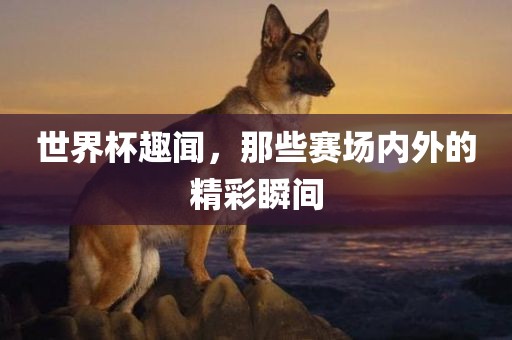 世界杯趣闻，那些赛场内外的精彩瞬间吉安市靖泰电力工程有限公司