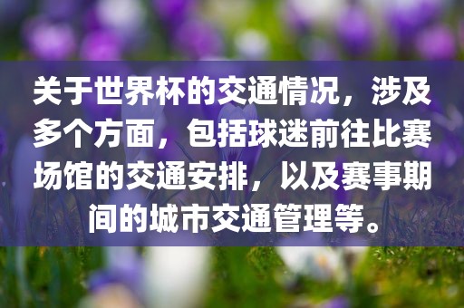 关于世界杯的交通情况，涉及多个方面，包括球迷前往比赛场馆的交通安排，以及赛事期间的城市交通管理等。吉安市靖泰电力工程有限公司