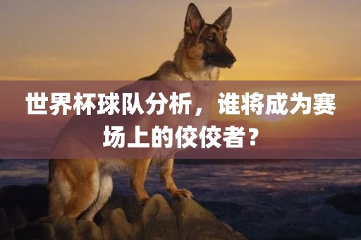 世界杯球队分析，谁将吉安市靖泰电力工程有限公司成为赛场上的佼佼者？