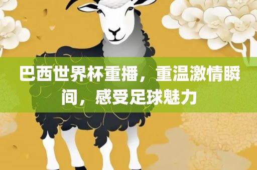 巴西世吉安市靖泰电力工程有限公司界杯重播，重温激情瞬间，感受足球魅力
