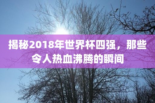 揭秘2018年世界杯四强，那些令人热血沸腾的瞬间吉安市靖泰电力工程有限公司