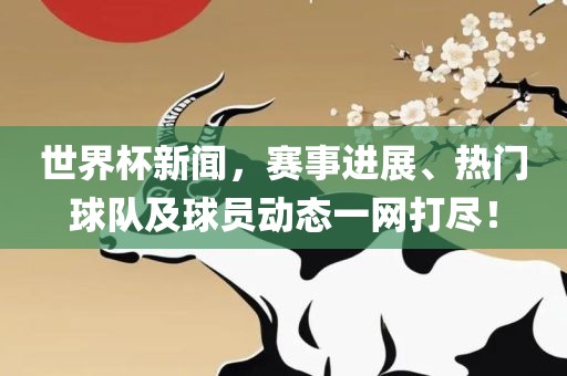 世界杯新闻，赛事进展、热门球队及球员动态一网打尽！吉安市靖泰电力工程有限公司