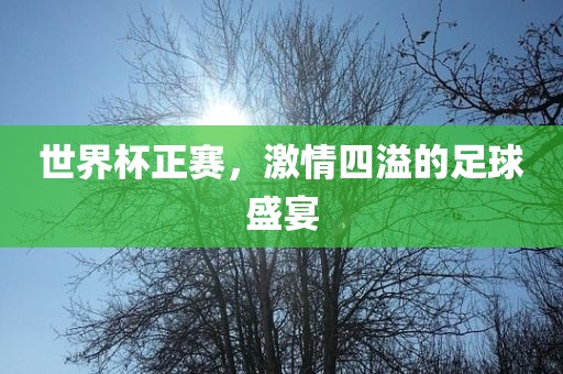 世界杯正赛，激情四溢的足球盛宴吉安市靖泰电力工程有限公司
